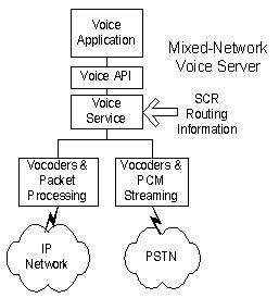 Mixed-Network Voice Server